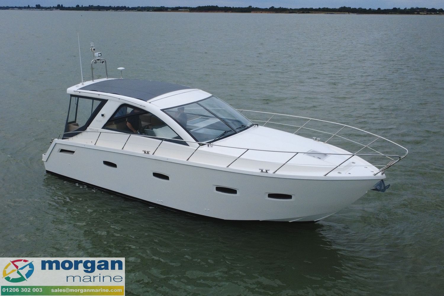 Sealine SC35 te koop
