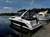 Bayliner 285 - MSP 71 ersetzen Bayliner Bayliner 285 Cruiser