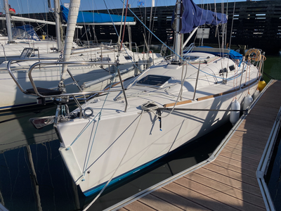 Elan Yachts 31 version sport