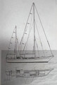  E.G. VAN DE STADT STORMY 55