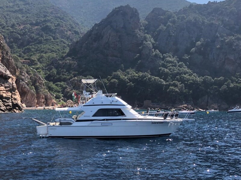 Bertram 37, profile Bertram Yacht 37' Convertible