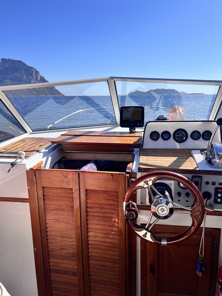 Boston Whaler 22 REVENGE Boston Whaler 22 REVENGE