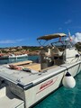 Boston Whaler 25 Revenge wa Boston Whaler 25 REVENGE