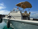 Boston Whaler 25 Revenge wa.jpg Boston Whaler 25 REVENGE