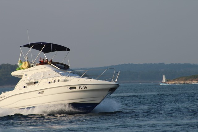 rth Sealine F33