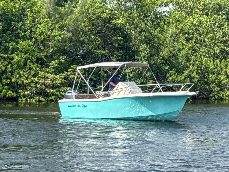  White Shark 210CC